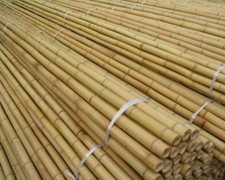 Bamboo Stakes for gardening and agriculture