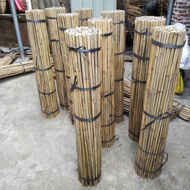 Bamboo Canes for Gardening,Dia 24-26MM