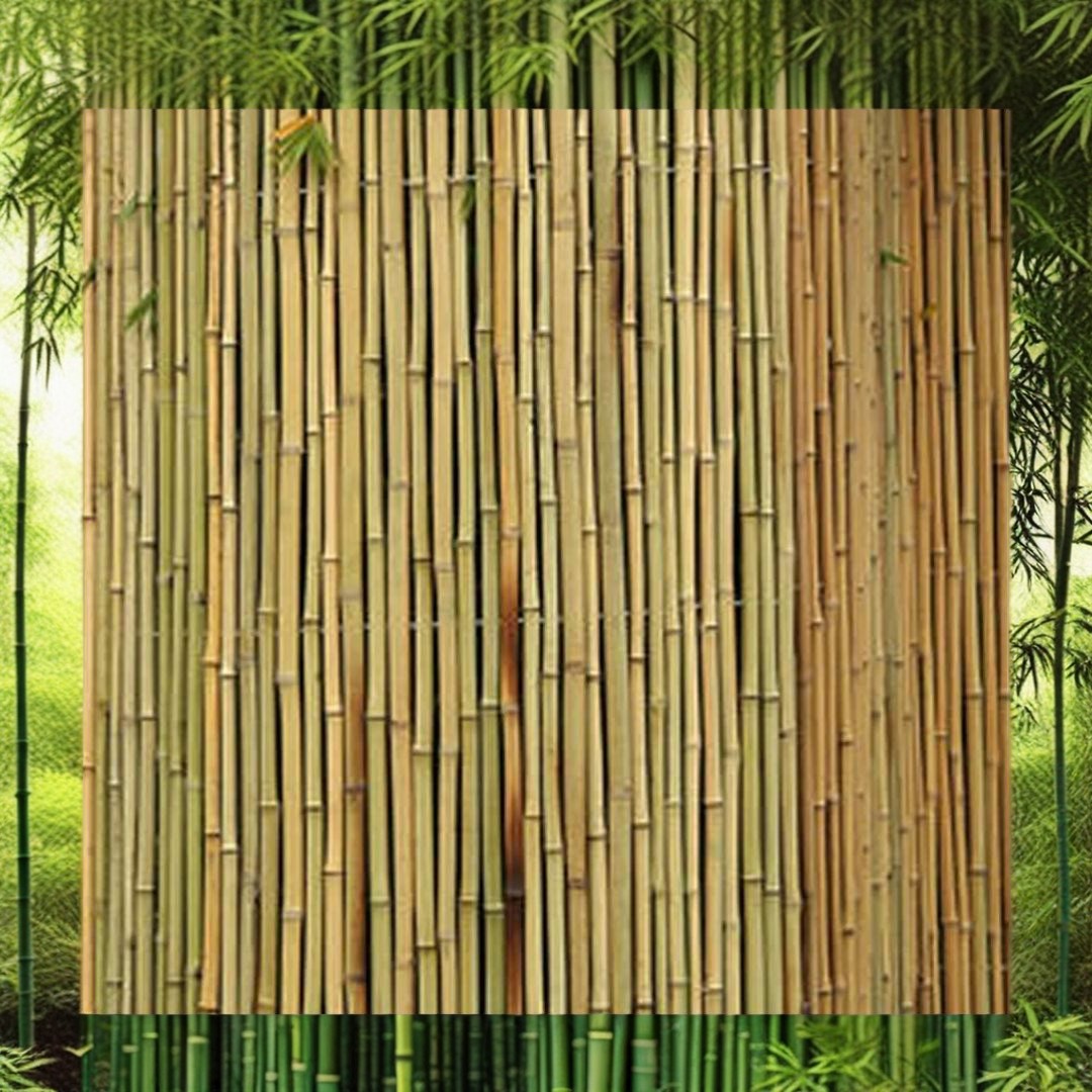 Natural Bamboo Fence in China