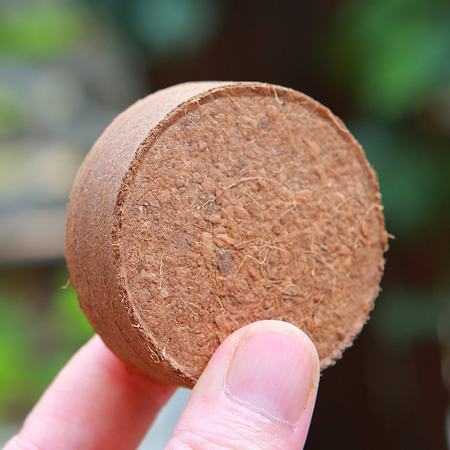 Natural coco peat Disc for seedling