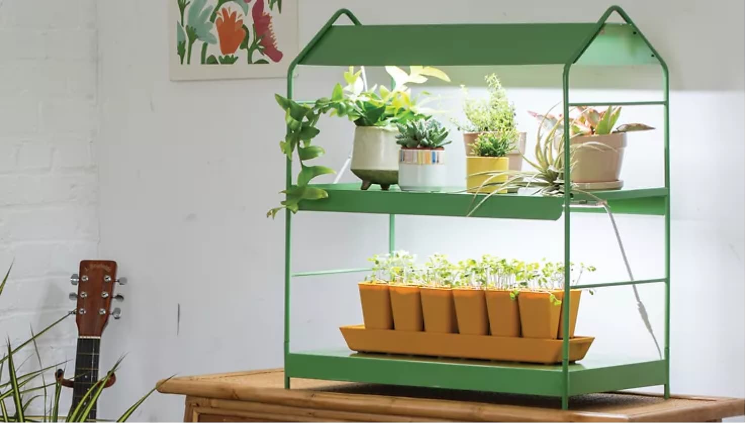 Best Grow Lights For Small Spaces